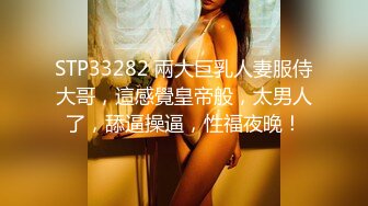 STP33282 兩大巨乳人妻服侍大哥，這感覺皇帝般，太男人了，舔逼操逼，性福夜晚！