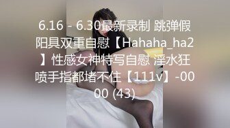 6.16 - 6.30最新录制 跳弹假阳具双重自慰【Hahaha_ha2】性感女神特写自慰 淫水狂喷手指都堵不住【111v】-0000 (43)