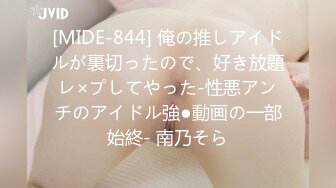 [MIDE-844] 俺の推しアイドルが裏切ったので、好き放題レ×プしてやった-性悪アンチのアイドル強●動画の一部始終- 南乃そら