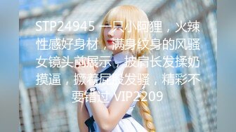 STP24945 一只小阿狸，火辣性感好身材，满身纹身的风骚女镜头前展示，披肩长发揉奶摸逼，撅着屁股发骚，精彩不要错过 VIP2209