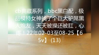 cb典藏系列，bbc黑白配，极品模特女神找了个巨大驴屌黑人炮友，天天被操还被肛，心疼！22年02-03至08-25【65v】 (13)