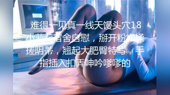 极品美女牛仔短裤+职业黑色OL装高跟美腿