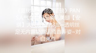 《蓝树精选?顶流重磅》PANS人气女神极品美乳美腿【安琪】大尺度私拍3部~透明丝足无内露奶露逼搔首弄姿~对白亮点