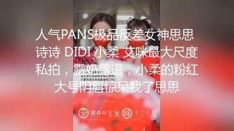 人气PANS极品反差女神思思 诗诗 DIDI 小柔 艾咪最大尺度私拍，露奶露逼，小柔的粉红大号阴唇惊呆我了思思