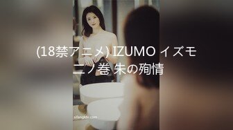 (18禁アニメ) IZUMO イズモ 二ノ巻 朱の殉情