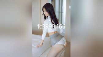 fc3993466