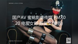 国产AV 蜜桃影像传媒 PMX020 电爱女郎 苏艾文(蜜苏)