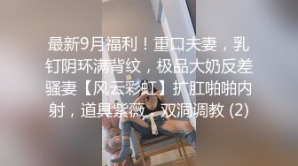 绿王八的平乳老婆