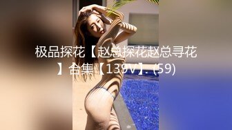 极品探花【赵总探花赵总寻花】合集【139V】 (59)